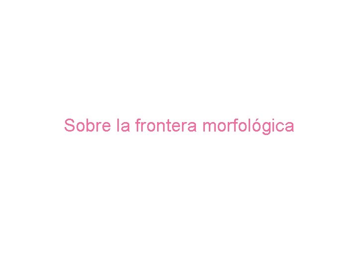 Sobre la frontera morfológica 