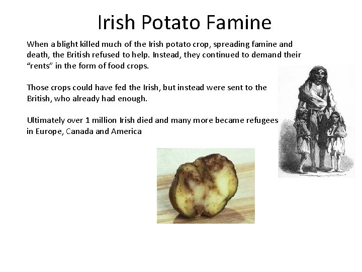 Irish Potato Famine When a blight killed much of the Irish potato crop, spreading