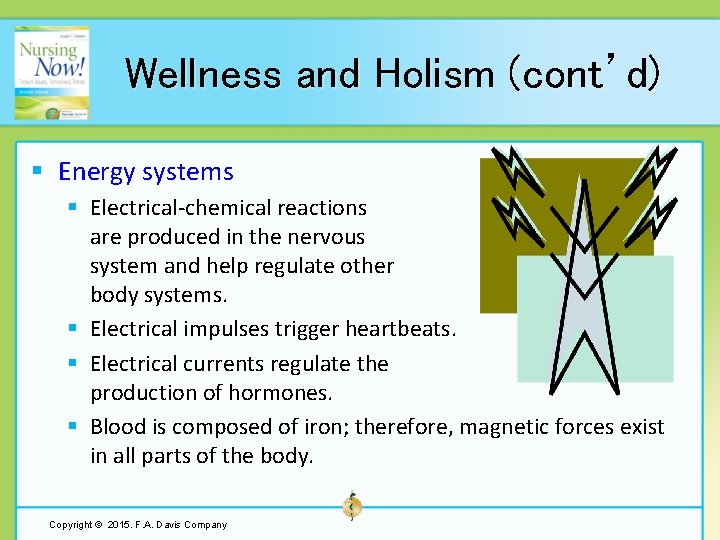 Wellness and Holism (cont’d) § Energy systems § Electrical-chemical reactions are produced in the