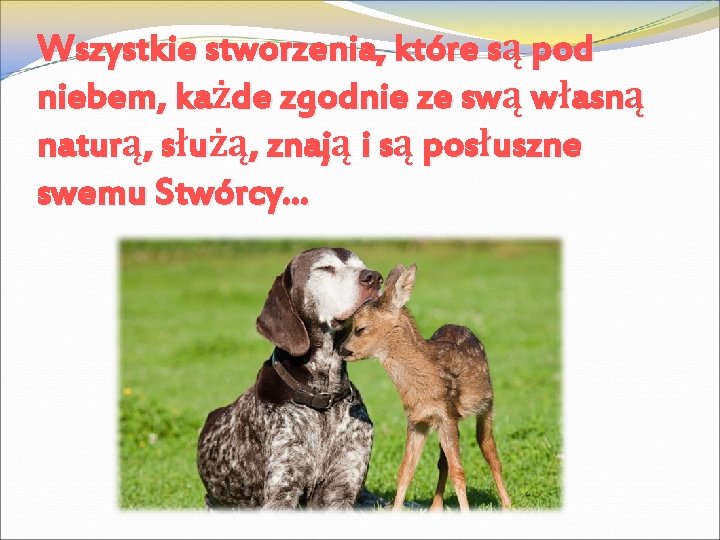 Wszystkie stworzenia, które są pod niebem, każde zgodnie ze swą własną naturą, służą, znają