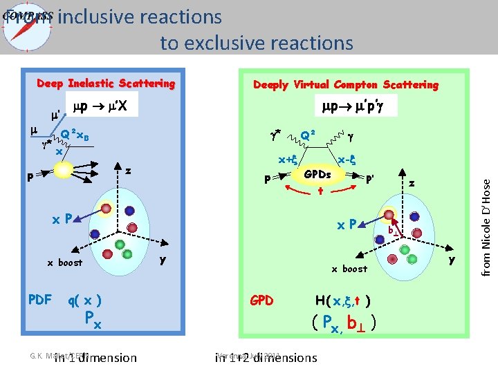 From inclusive reactions to exclusive reactions Deep Inelastic Scattering p ’X γ* p ’p’ From inclusive reactions to exclusive reactions Deep Inelastic Scattering p ’X γ* p ’p’