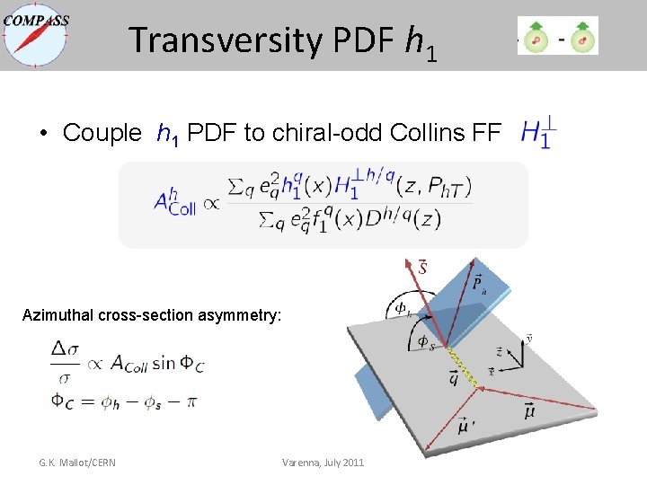 Transversity PDF h 1 • Couple h 1 PDF to chiral-odd Collins FF Azimuthal Transversity PDF h 1 • Couple h 1 PDF to chiral-odd Collins FF Azimuthal