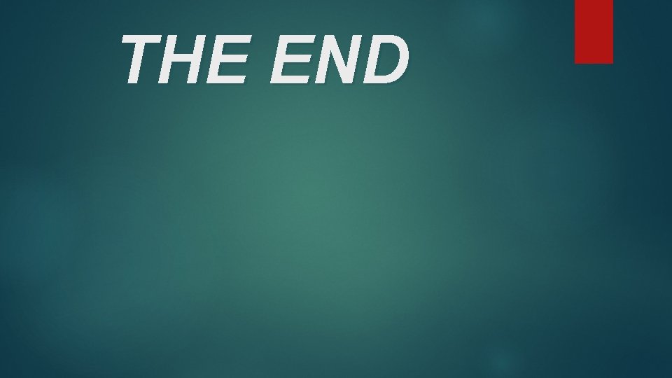 THE END 