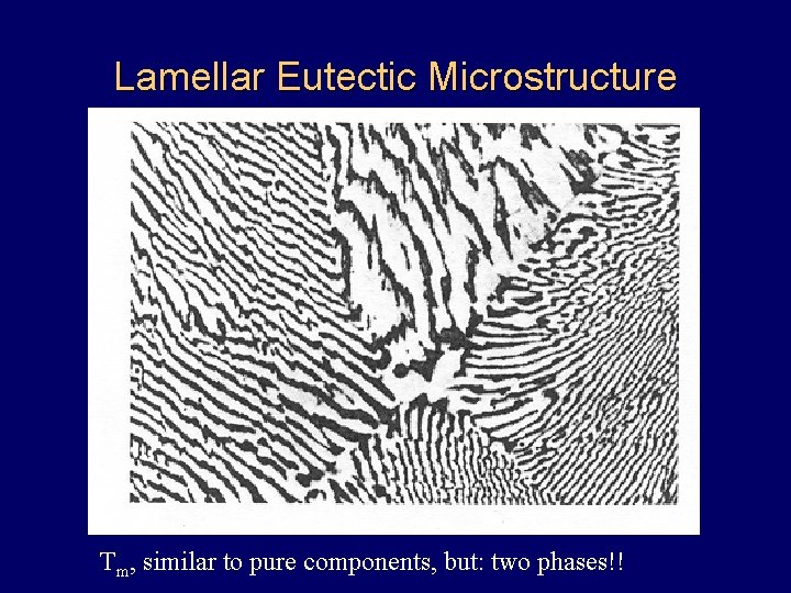 Lamellar Eutectic Microstructure Tm, similar to pure components, but: two phases!! Lamellar Eutectic Microstructure Tm, similar to pure components, but: two phases!!