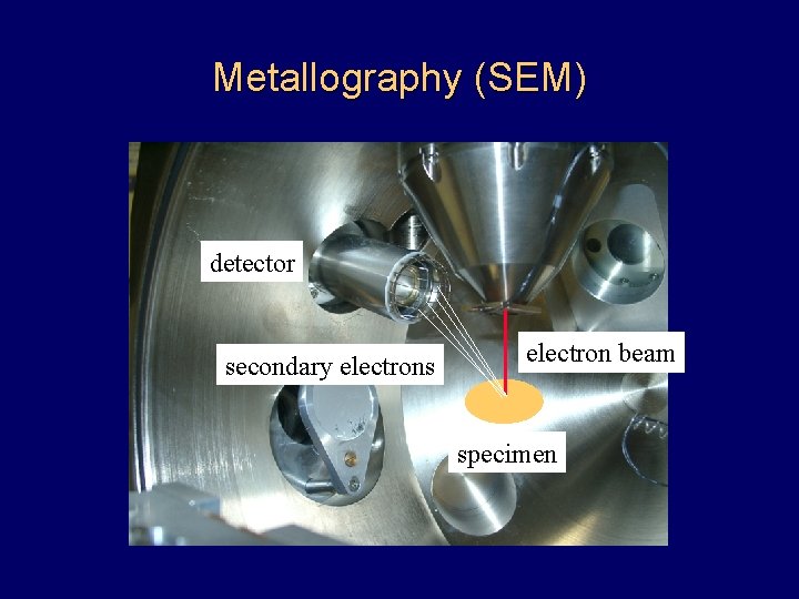 Metallography (SEM) detector secondary electrons electron beam specimen Metallography (SEM) detector secondary electrons electron beam specimen