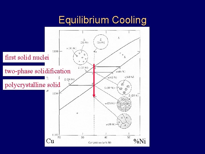 Equilibrium Cooling first solid nuclei two-phase solidification polycrystalline solid Cu %Ni Equilibrium Cooling first solid nuclei two-phase solidification polycrystalline solid Cu %Ni