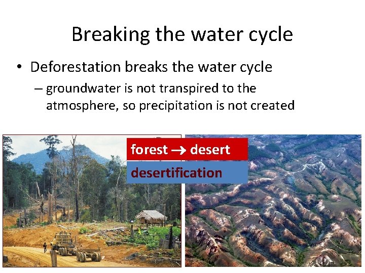 Breaking the water cycle • Deforestation breaks the water cycle – groundwater is not