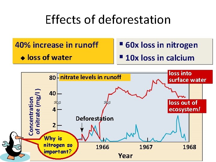 Effects of deforestation 40% increase in runoff loss of water loss into surface water