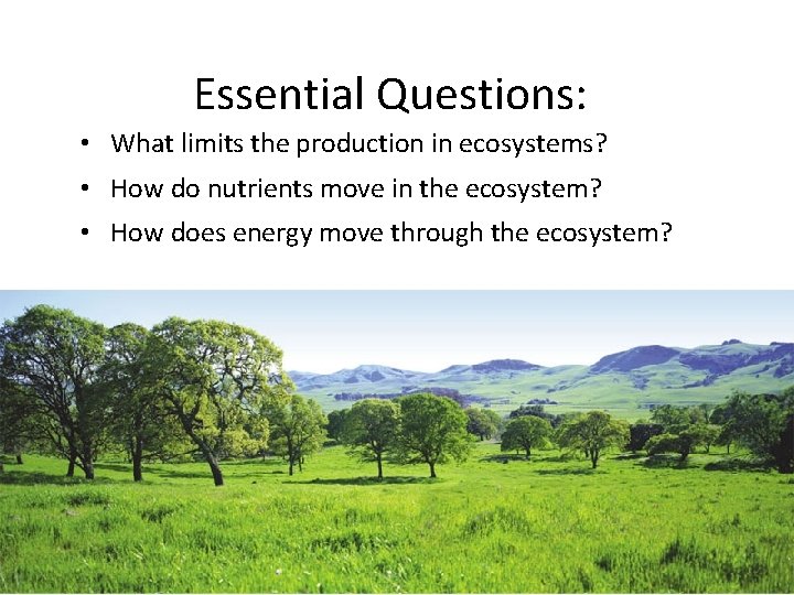 Essential Questions: • What limits the production in ecosystems? • How do nutrients move