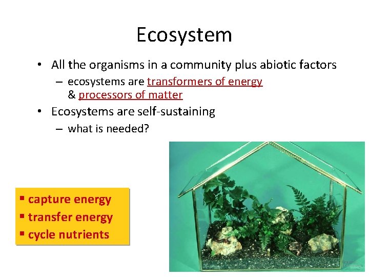 Ecosystem • All the organisms in a community plus abiotic factors – ecosystems are