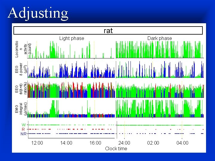 Adjusting rat Dark phase EMG integral (m. V/sec) EEG q/(d+q) ratio(%) EEG d power