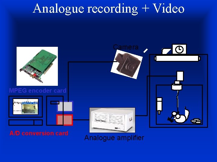 Analogue recording + Video Camera MPEG encoder card A/D conversion card Analogue amplifier 