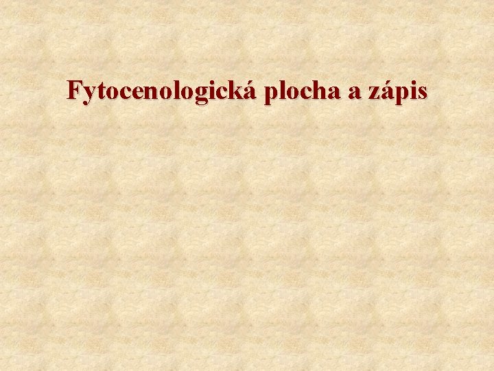 Fytocenologická plocha a zápis 