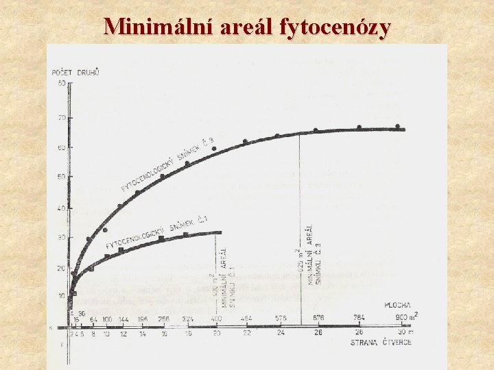 Minimální areál fytocenózy 