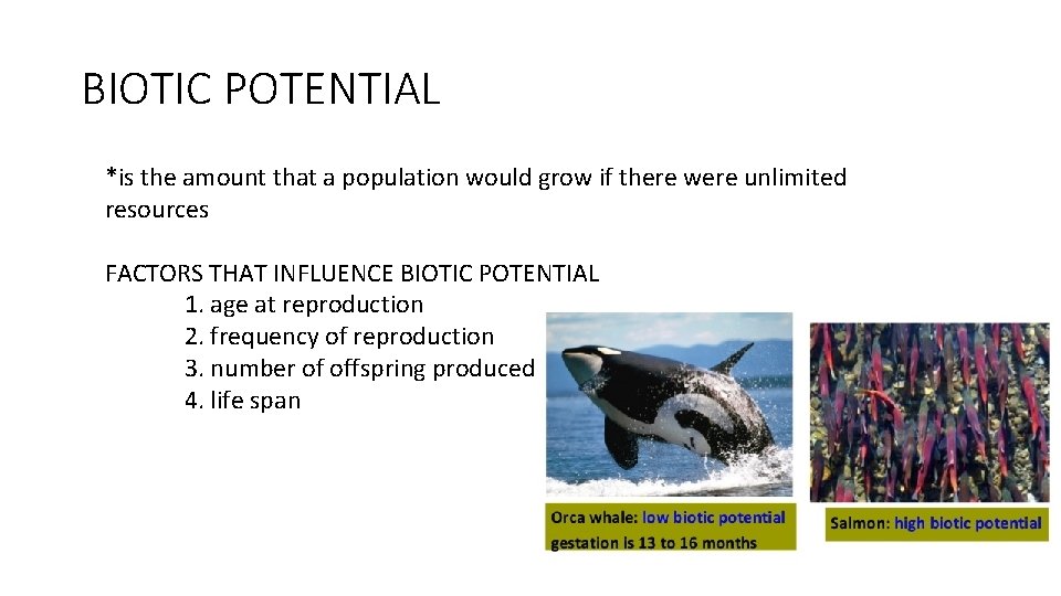 BIOTIC POTENTIAL *is the amount that a population would grow if there were unlimited