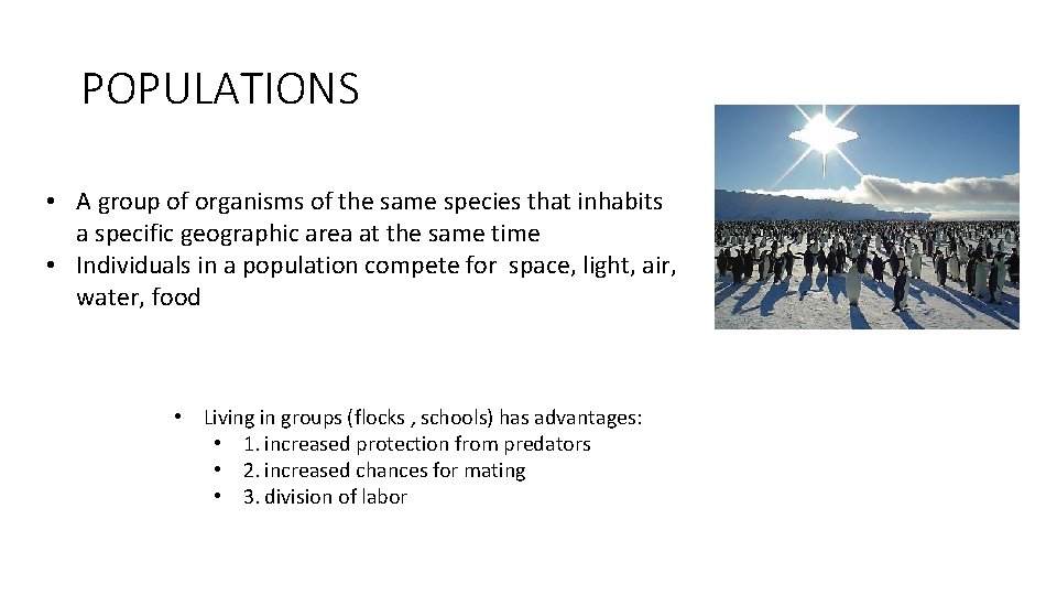 POPULATIONS • A group of organisms of the same species that inhabits a specific