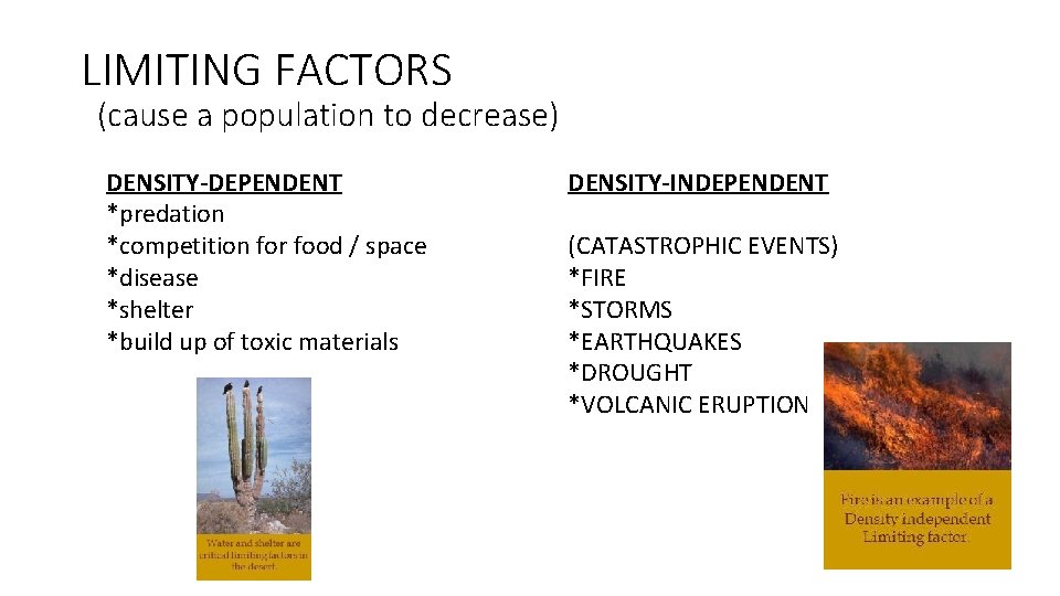 LIMITING FACTORS (cause a population to decrease) DENSITY-DEPENDENT *predation *competition for food / space