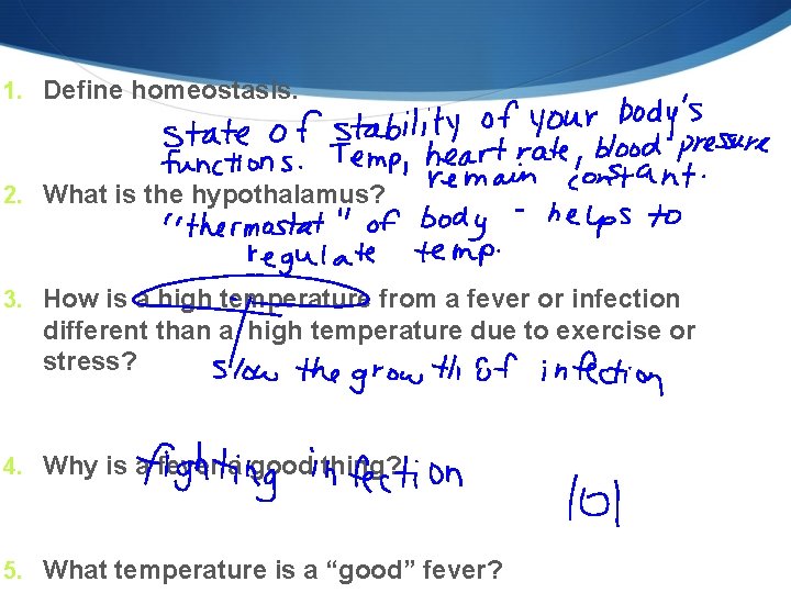 1. Define homeostasis. 2. What is the hypothalamus? 3. How is a high temperature