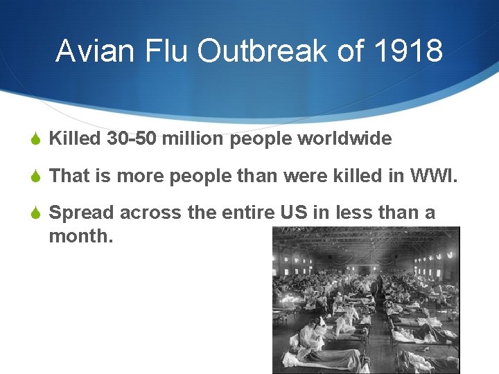 Avian Flu Outbreak of 1918 S Killed 30 -50 million people worldwide S That