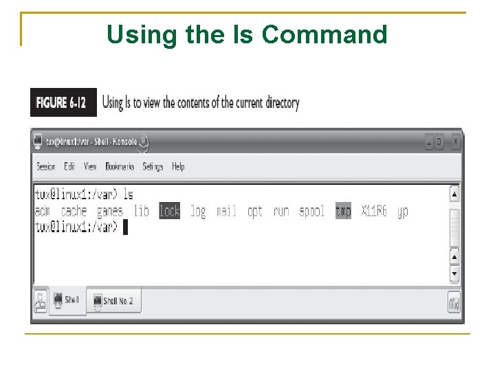 Using the ls Command 