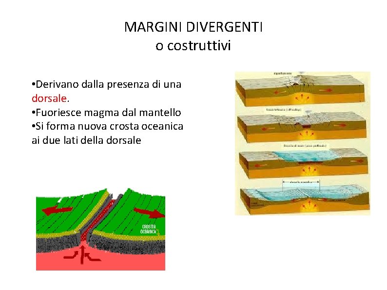 MARGINI DIVERGENTI o costruttivi • Derivano dalla presenza di una dorsale. • Fuoriesce magma