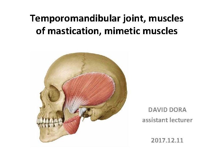 Temporomandibular joint, muscles of mastication, mimetic muscles DAVID DORA assistant lecturer 2017. 12. 11