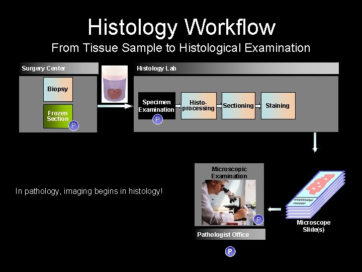 Histology Workflow From Tissue Sample to Histological Examination Surgery Center Histology Lab Biopsy Frozen