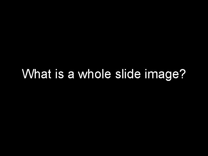 What is a whole slide image? 