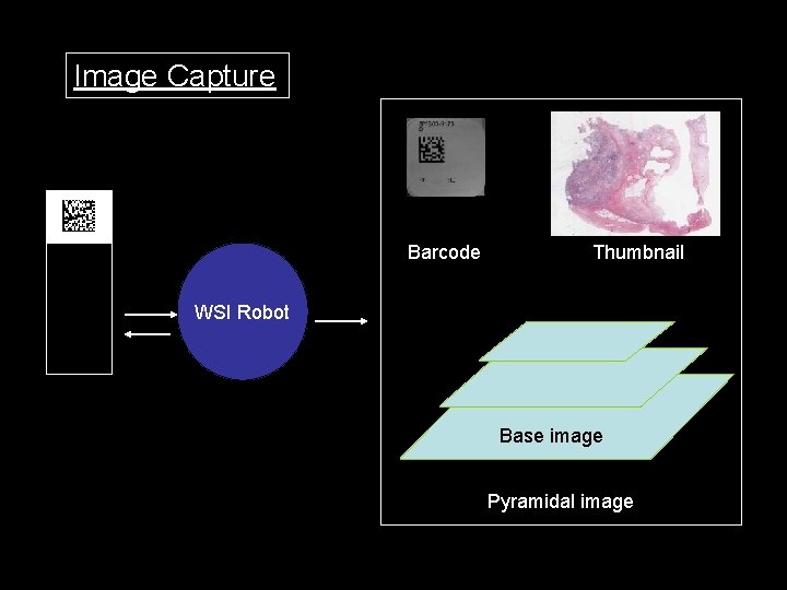 Image Capture Barcode Thumbnail WSI Robot Base image Pyramidal image 