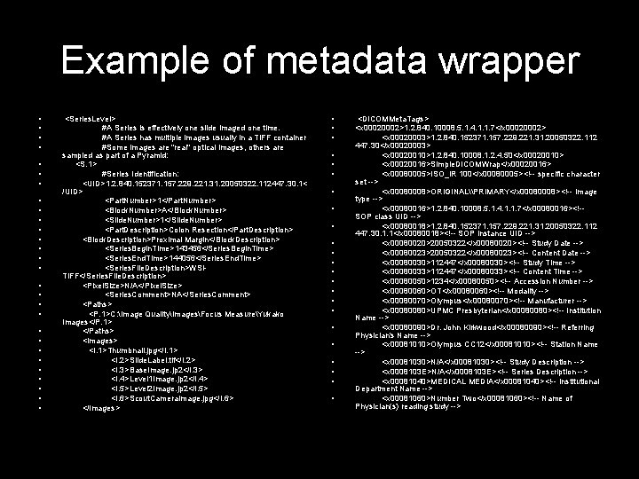 Example of metadata wrapper • • • • • • • <Series. Level> #A