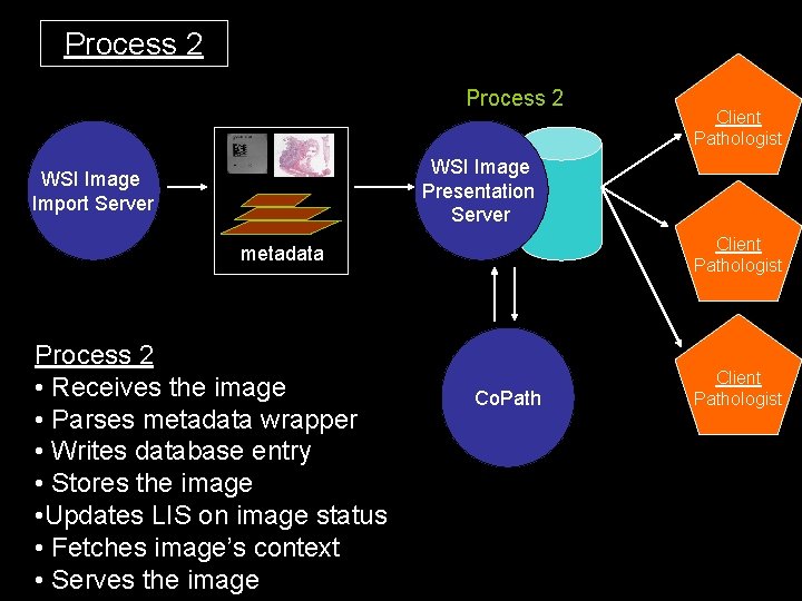 Process 2 Client Pathologist WSI Image Presentation Server WSI Image Import Server Client Pathologist