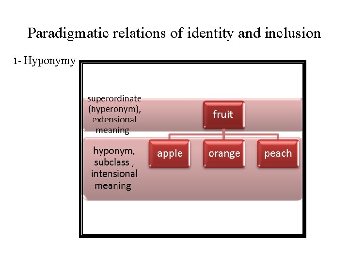 Paradigmatic relations of identity and inclusion 1 - Hyponymy 