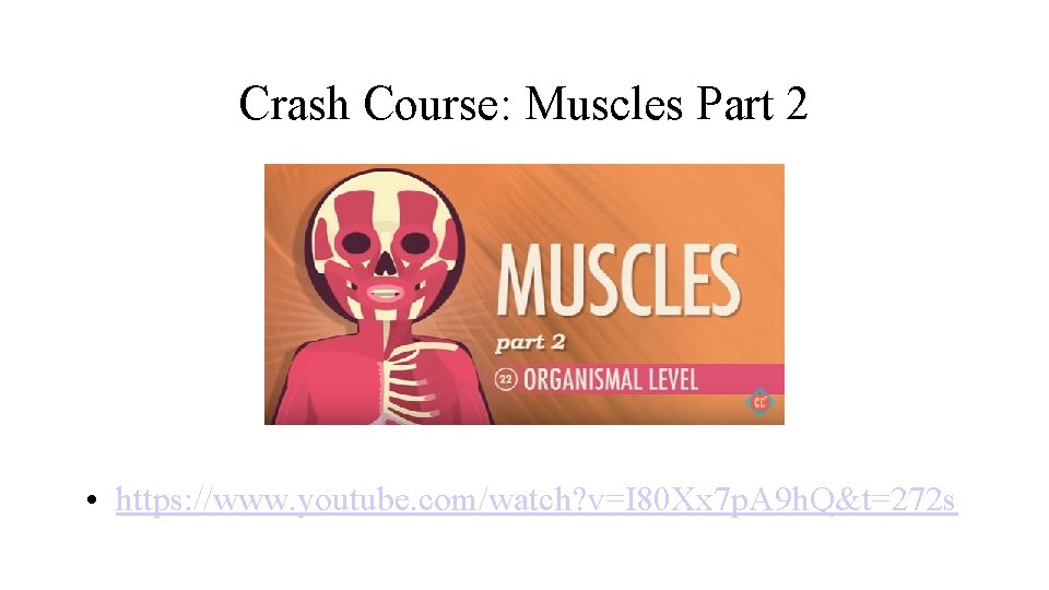 Crash Course: Muscles Part 2 • https: //www. youtube. com/watch? v=I 80 Xx 7