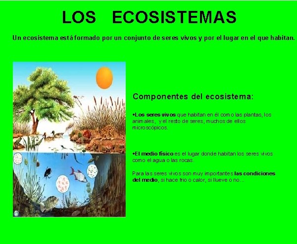 LOS ECOSISTEMAS Un ecosistema está formado por un conjunto de seres vivos y por