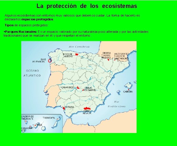 La protección de los ecosistemas Algunos ecosistemas son entornos muy valiosos que debemos cuidar.