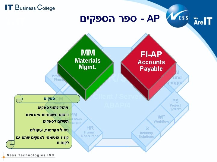 ספר הספקים - AP SD FI Sales & Distribution MM Financial Accounting MM ספר הספקים - AP SD FI Sales & Distribution MM Financial Accounting MM