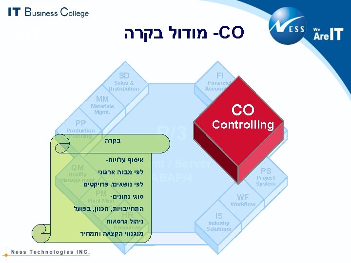 מודול בקרה -CO SD FI Sales & Distribution Financial Accounting MM CO CO מודול בקרה -CO SD FI Sales & Distribution Financial Accounting MM CO CO