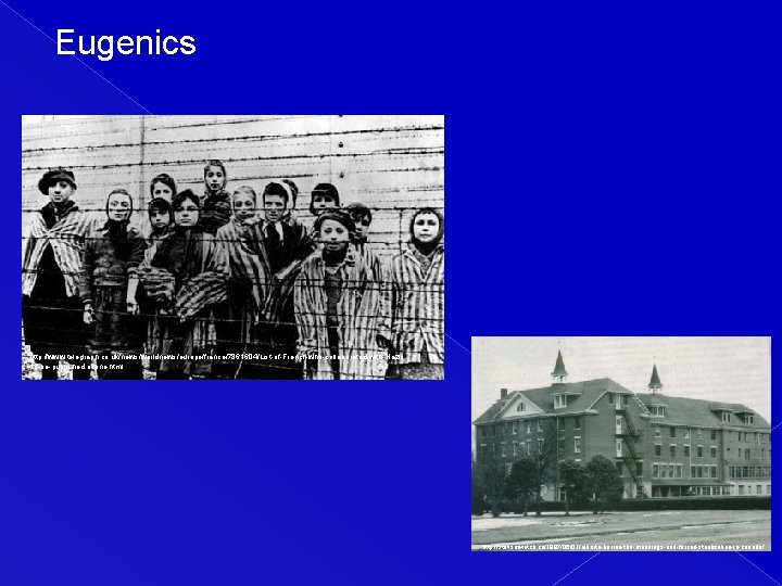 Eugenics http: //www. telegraph. co. uk/news/worldnews/europe/france/7861604/List-of-French-who-collaborated-with-Nazis -to-be-published-online. html http: //statismwatch. ca/1997/06/01/alberta-barren-the-mannings-and-forced-sterilization-in-canada/ 