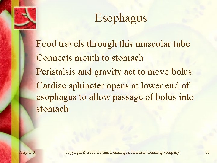 Esophagus Food travels through this muscular tube Connects mouth to stomach Peristalsis and gravity