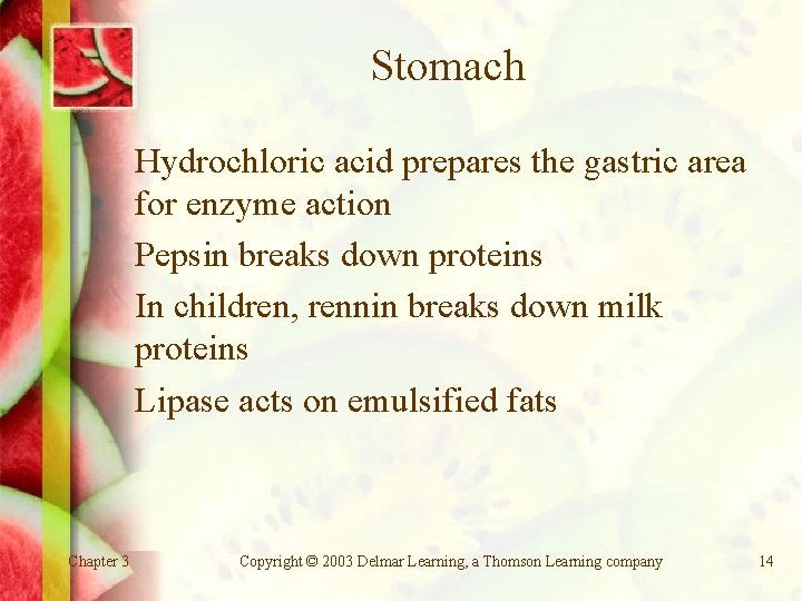 Stomach Hydrochloric acid prepares the gastric area for enzyme action Pepsin breaks down proteins