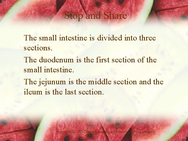 Stop and Share The small intestine is divided into three sections. The duodenum is