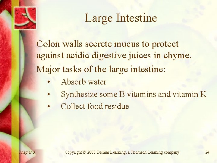 Large Intestine Colon walls secrete mucus to protect against acidic digestive juices in chyme.