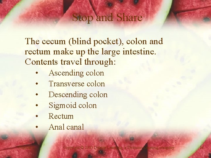 Stop and Share The cecum (blind pocket), colon and rectum make up the large