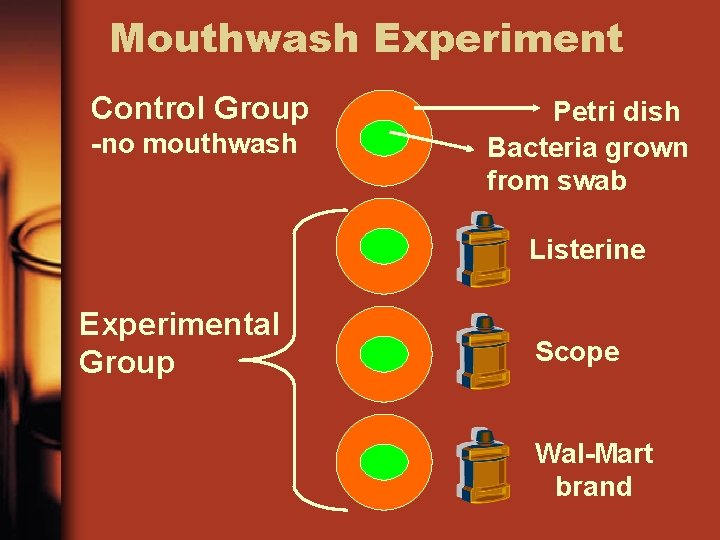 Mouthwash Experiment Control Group -no mouthwash Petri dish Bacteria grown from swab Listerine Experimental