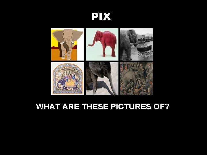 PIX WHAT ARE THESE PICTURES OF? 