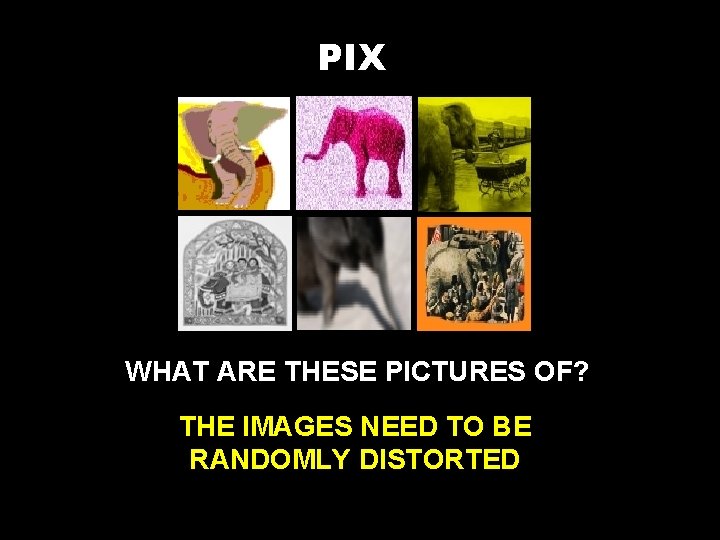 PIX WHAT ARE THESE PICTURES OF? THE IMAGES NEED TO BE RANDOMLY DISTORTED 