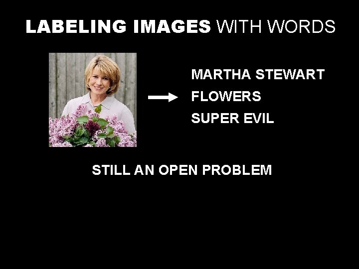 LABELING IMAGES WITH WORDS MARTHA STEWART FLOWERS SUPER EVIL STILL AN OPEN PROBLEM 