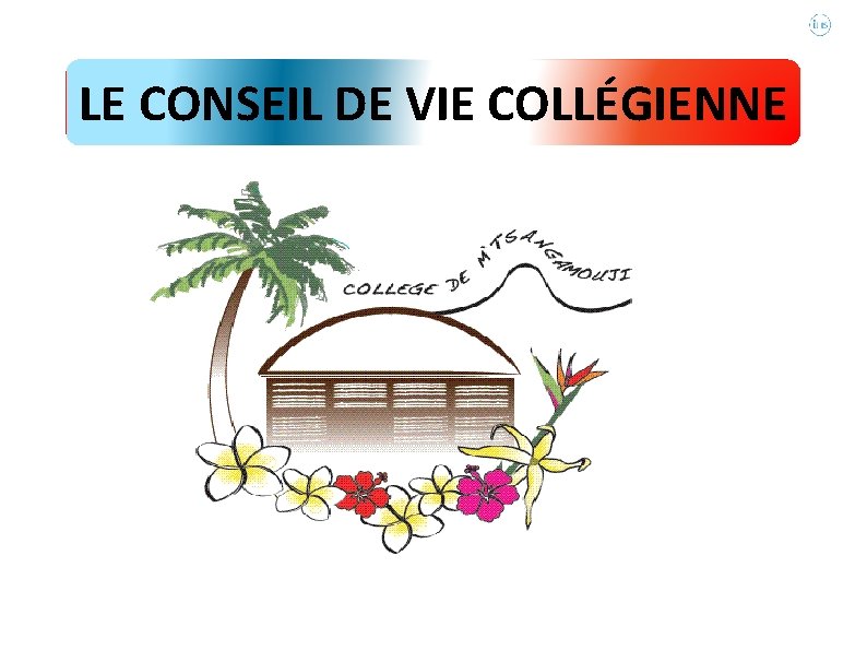 LE CONSEIL DE VIE COLLÉGIENNE COLLÈGE HENRI DUNANT 