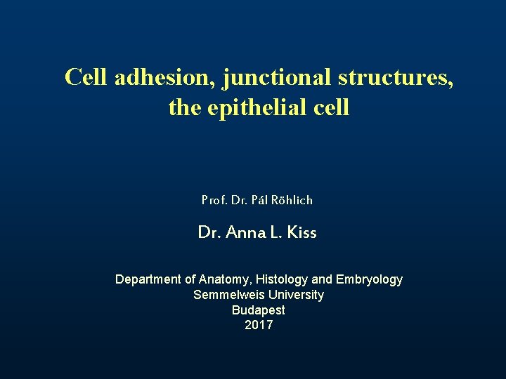 Cell adhesion, junctional structures, the epithelial cell Prof. Dr. Pál Röhlich Dr. Anna L.