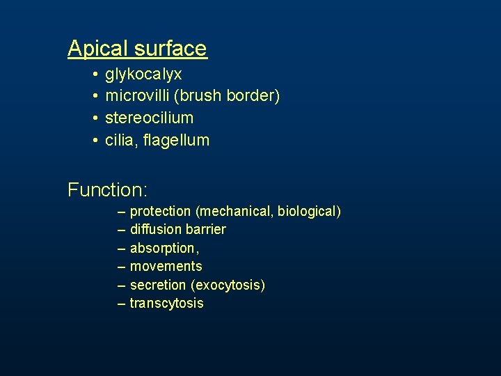 Apical surface • • glykocalyx microvilli (brush border) stereocilium cilia, flagellum Function: – –